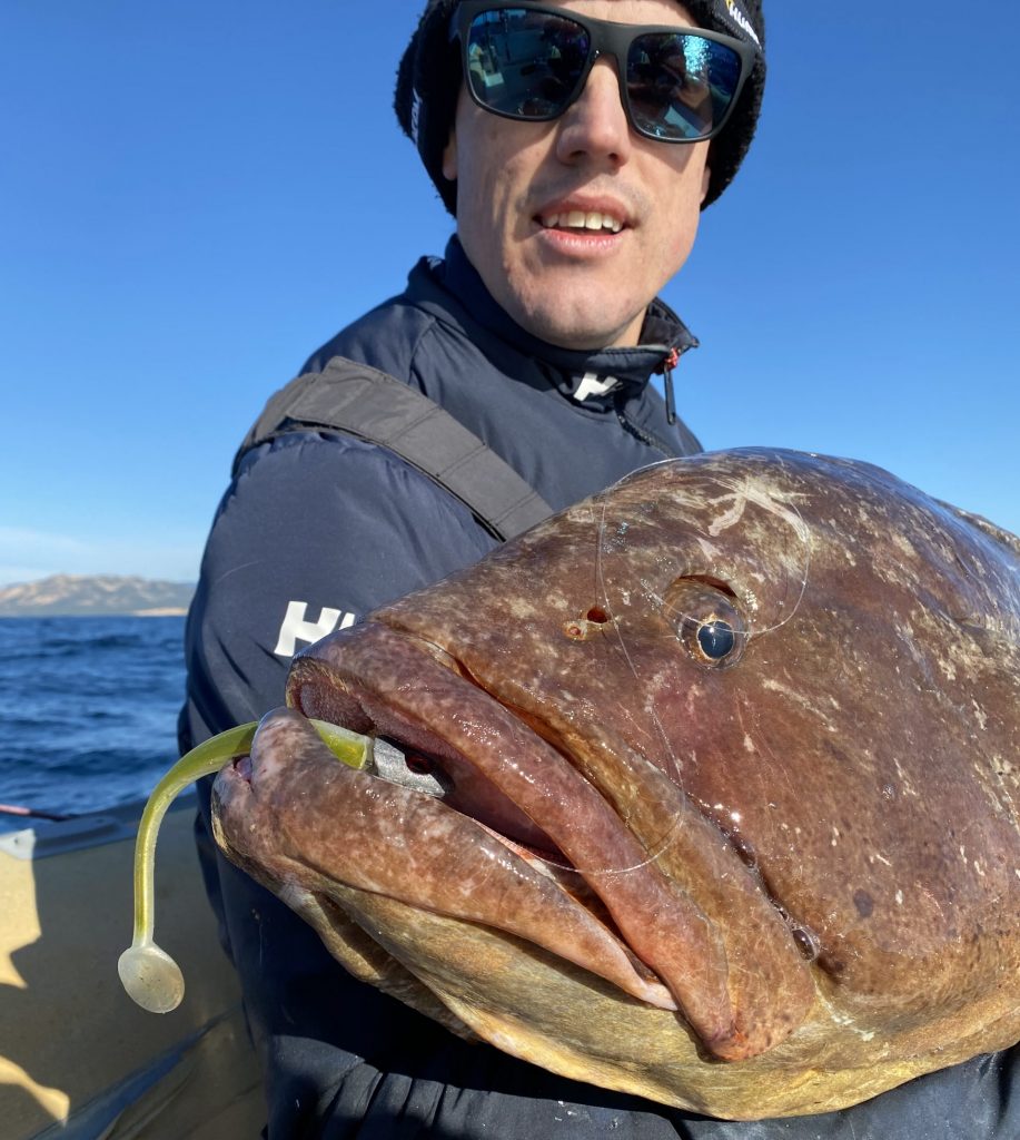 Mérou de 20kg pris en pêche au leurre souple en Méditerranée