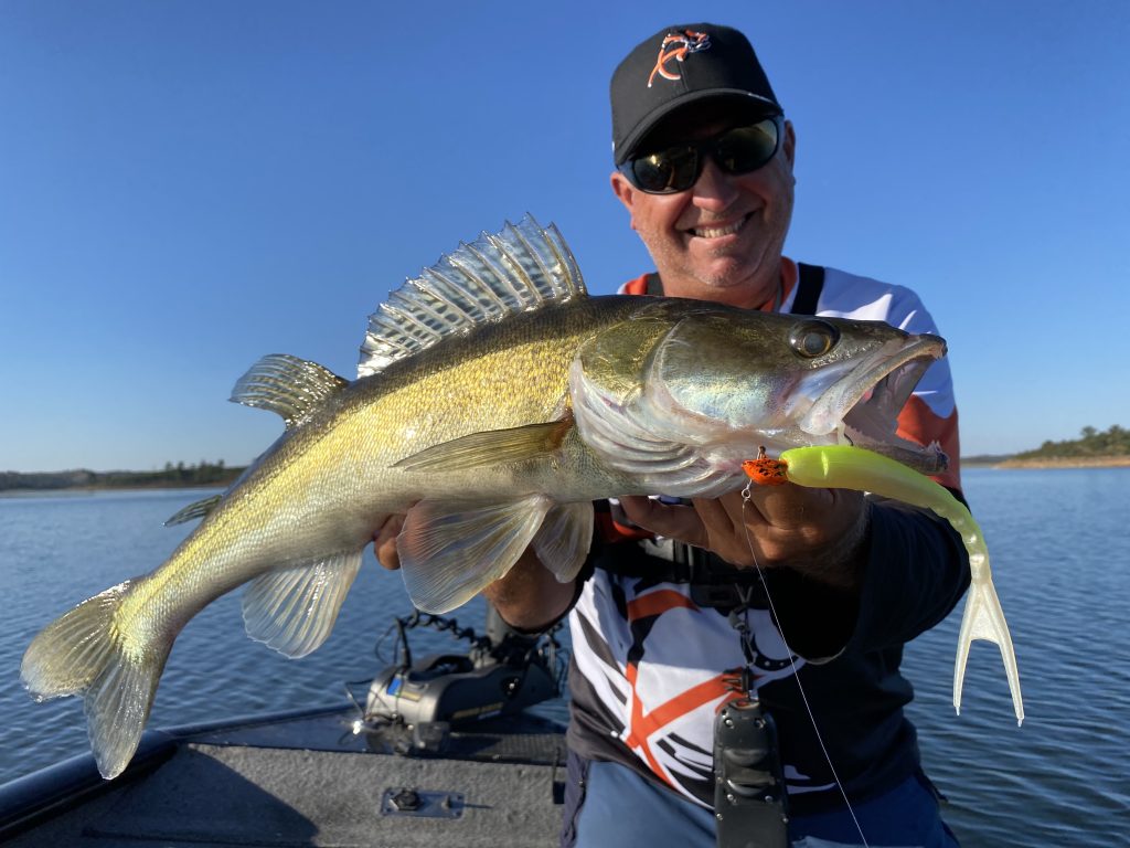 Pêche du sandre au leurre souple Zand Finess
