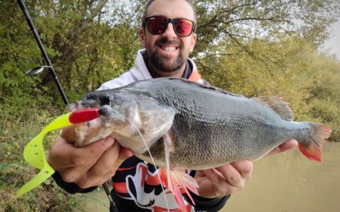 Predator Fishing: How to Successfully Rig a Jig Head