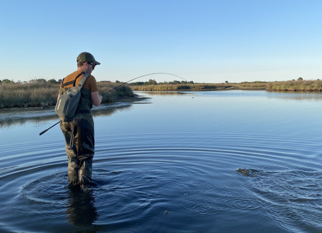 Pêche du bar dans les étangs marins