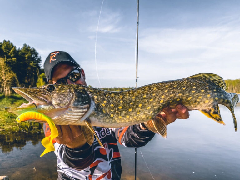 brochet néo frog
