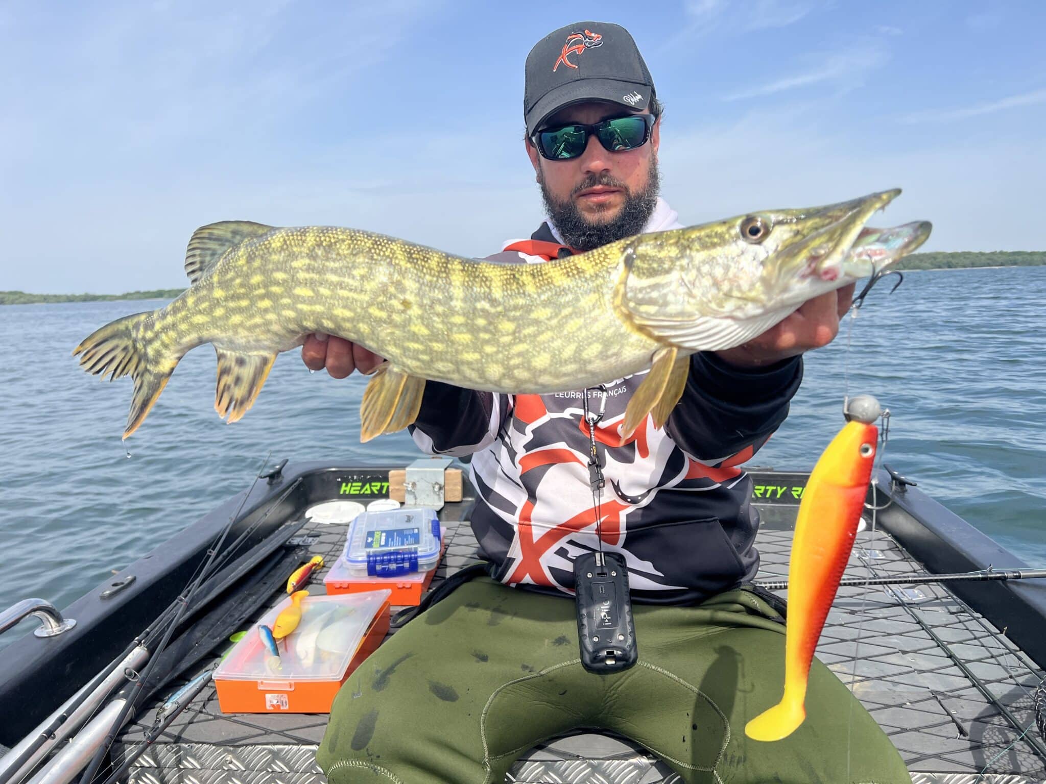 Brochet capturé avec un leurre souple Shad GT Delalande