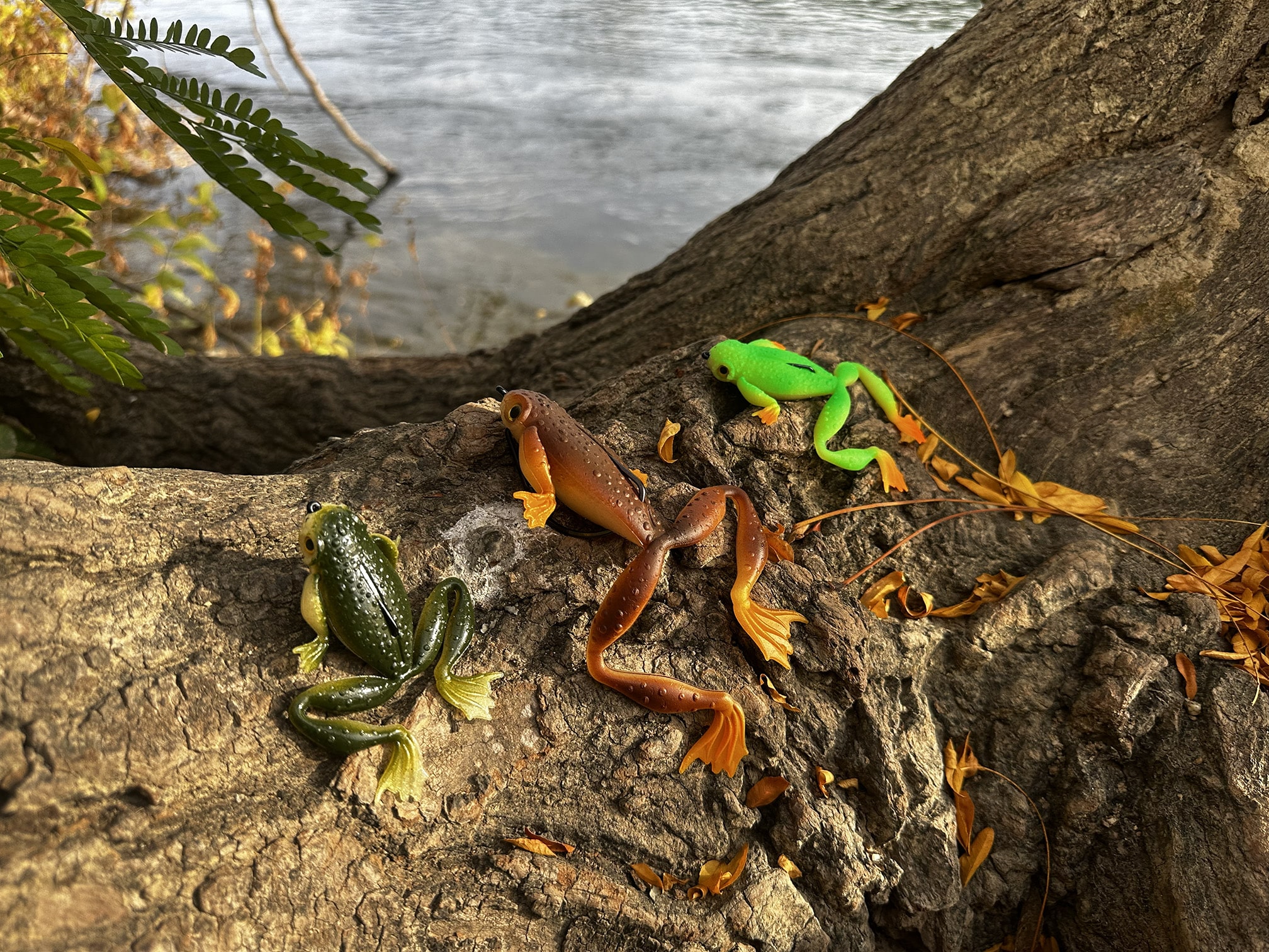 Trois leurres souples en forme de grenouilles (vert foncé, marron et vert fluo) avec pattes articulées, posés sur l'écorce d'un arbre devant une rivière.
