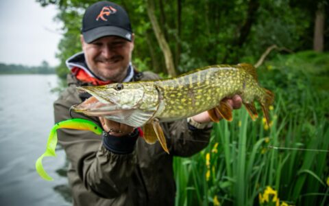 🎣 Pike Season Opening: My Selection of 3 Favorite Lures