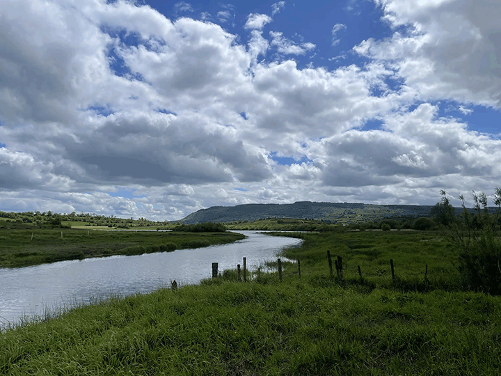 Irland Fluss Hecht