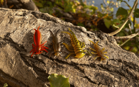 Delalande Larva & Perla : des imitations d&rsquo;insectes redoutables pour l&rsquo;été