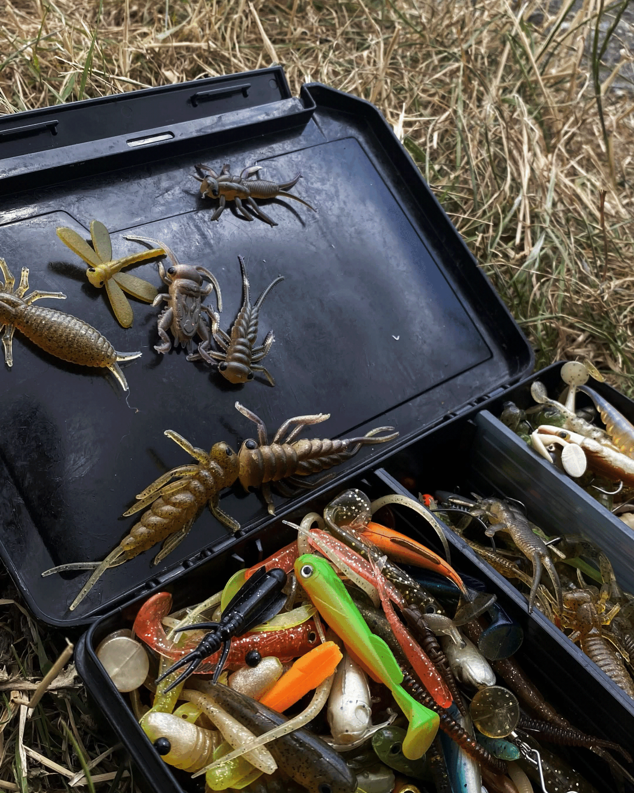 Leurres insectes Delalande Larva et Perla en matière flottante