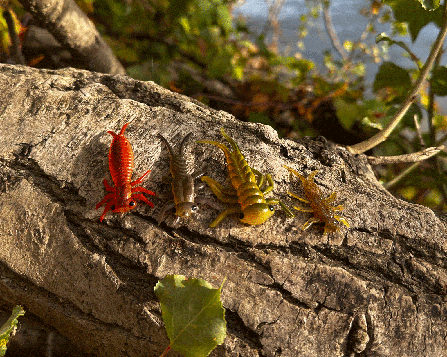 Delalande Larva & Perla : des imitations d&rsquo;insectes redoutables pour l&rsquo;été