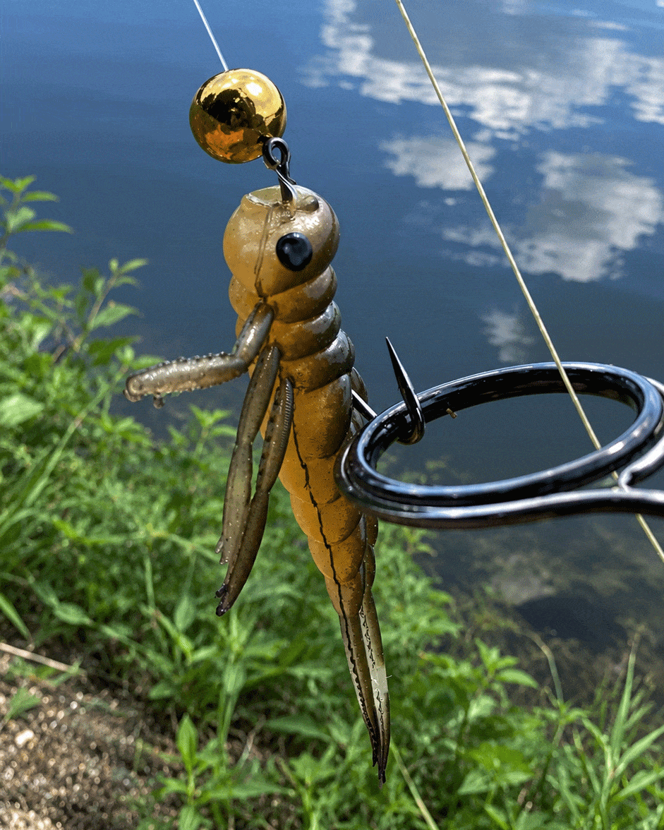 Montage split-shot avec le leurre insecte Larva Delalande