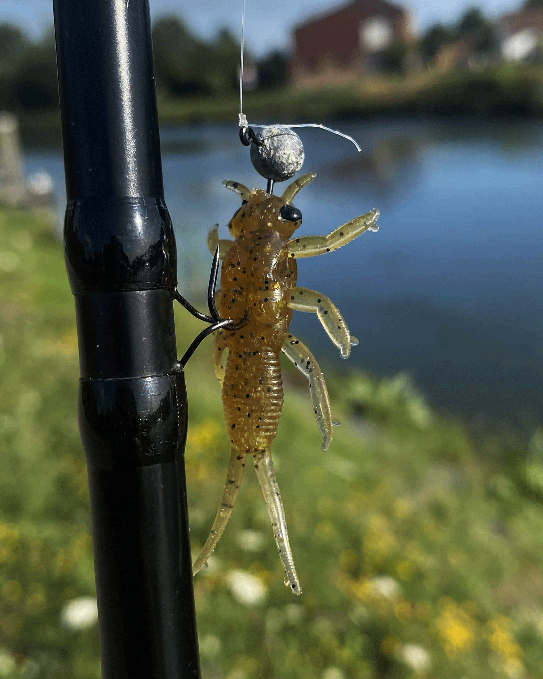 Leurre insecte Larva Delalande monté sur une tête plombée Macadam