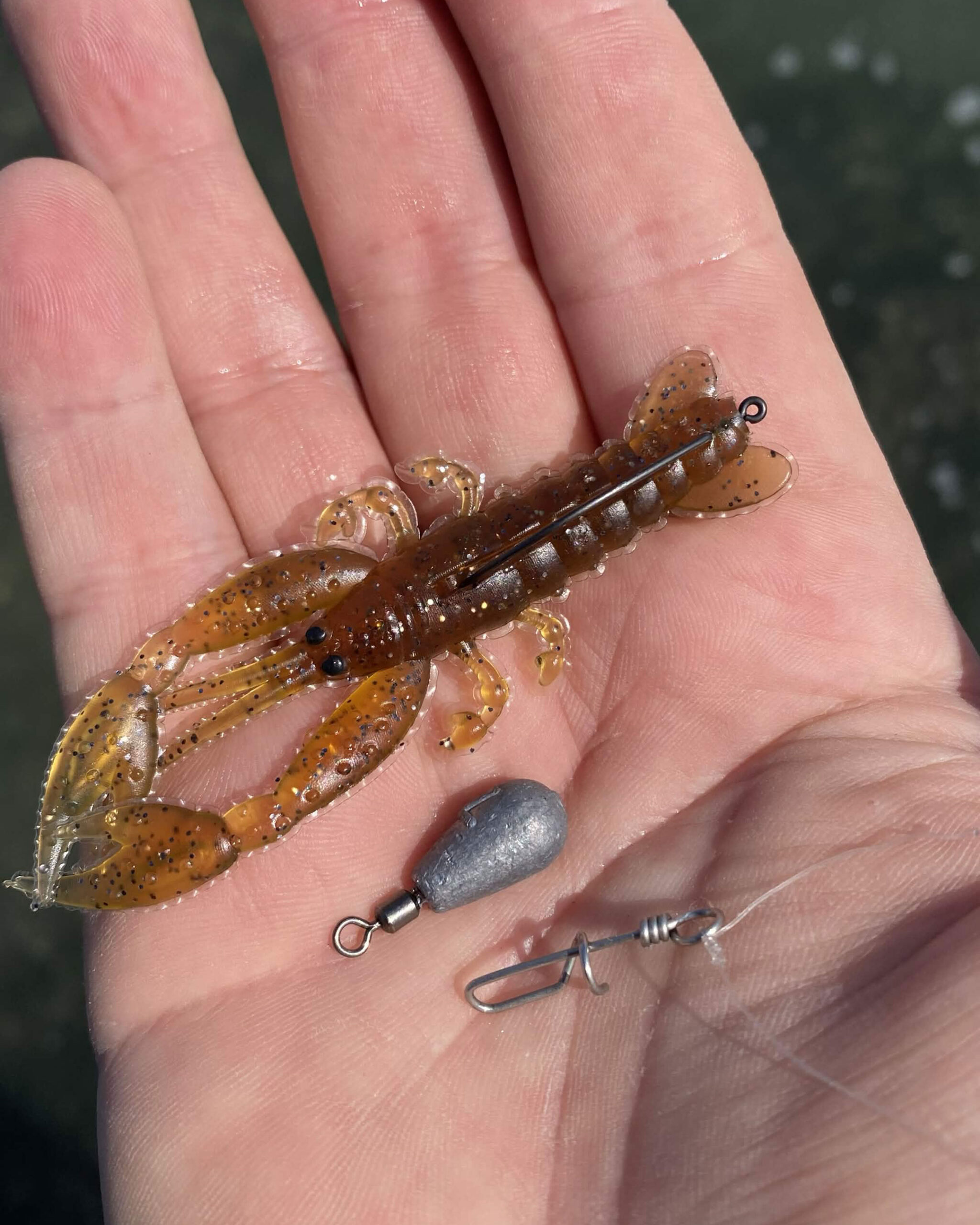 Craw Delalande