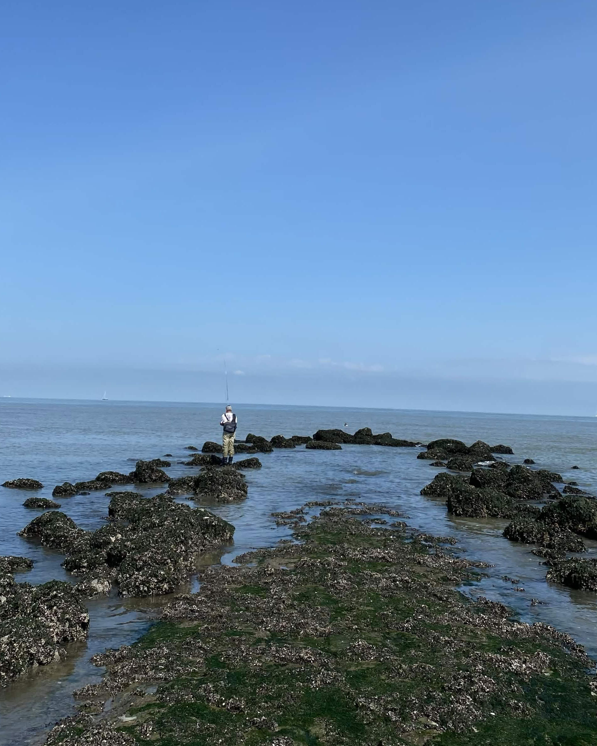 Pêche du bar aux structures